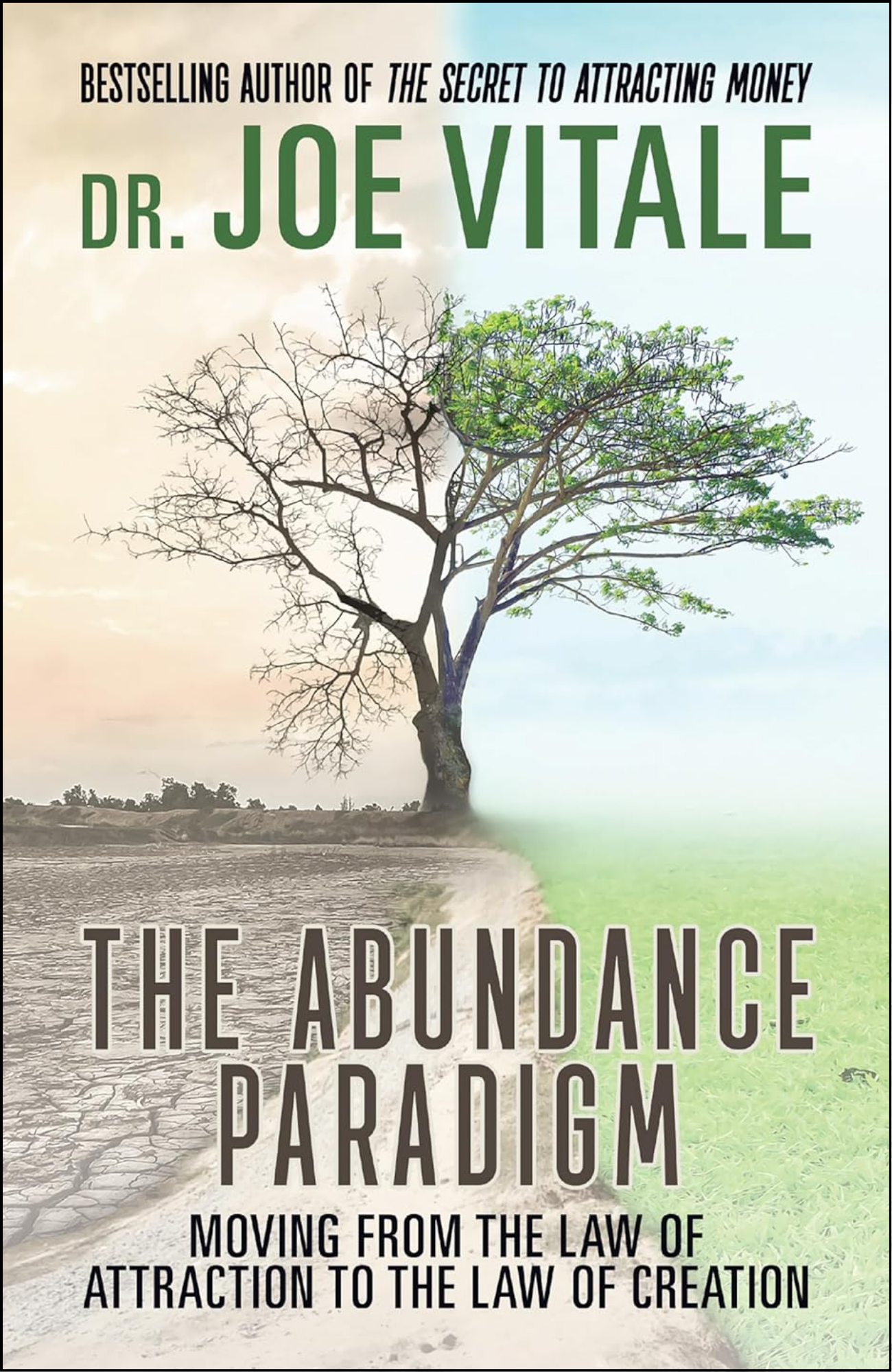 The Abundance Paradigm by Joe Vitale (Author)