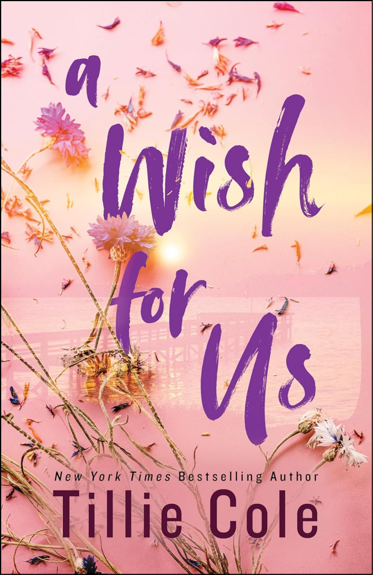 A Wish for Us by Tillie Cole (Author)