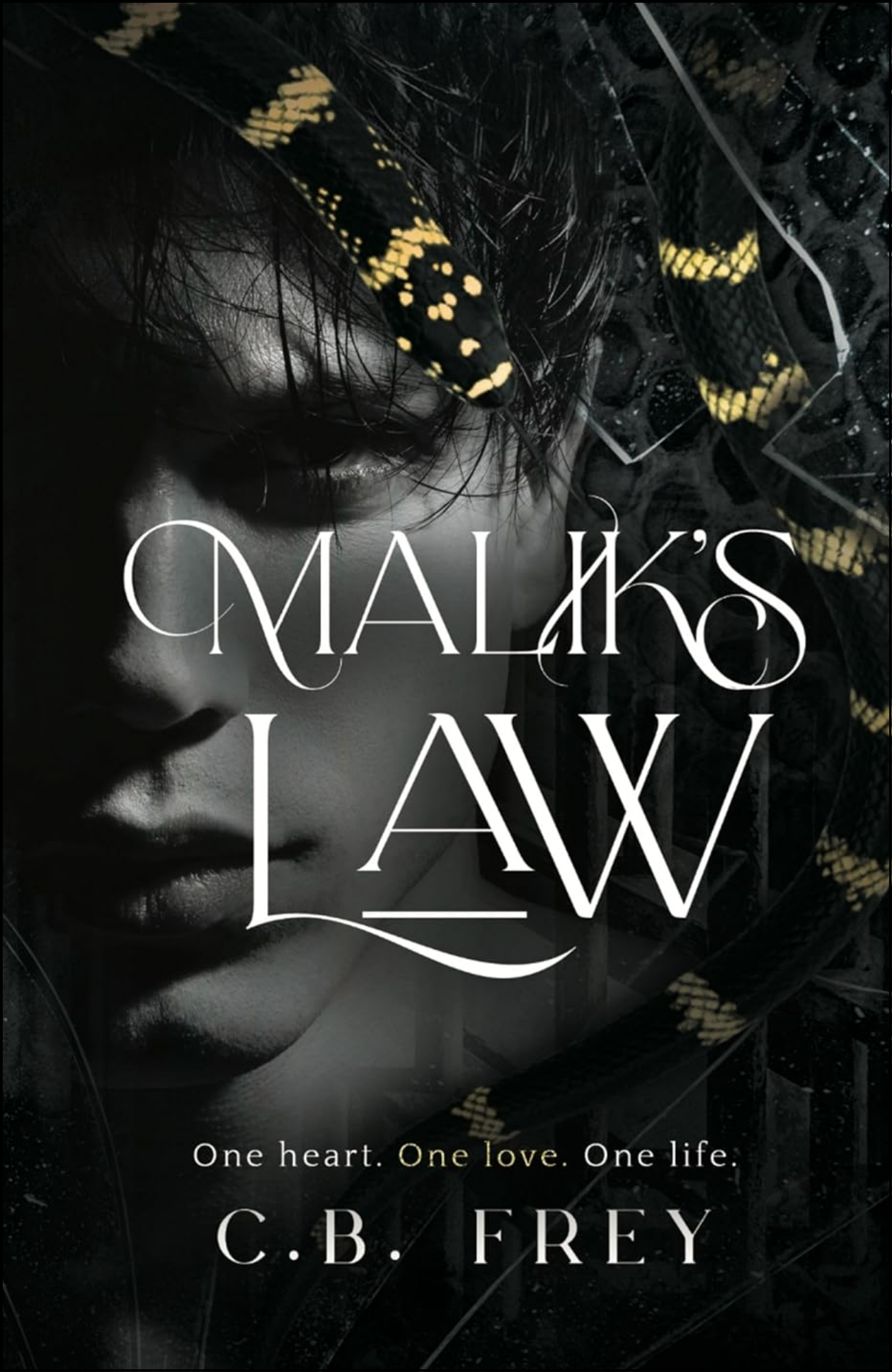 Malik's Law by C.B. FREY (Author)