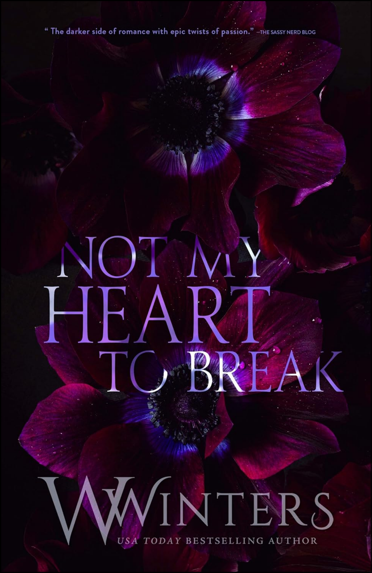 Not My Heart to Break by W. Winters (Author)