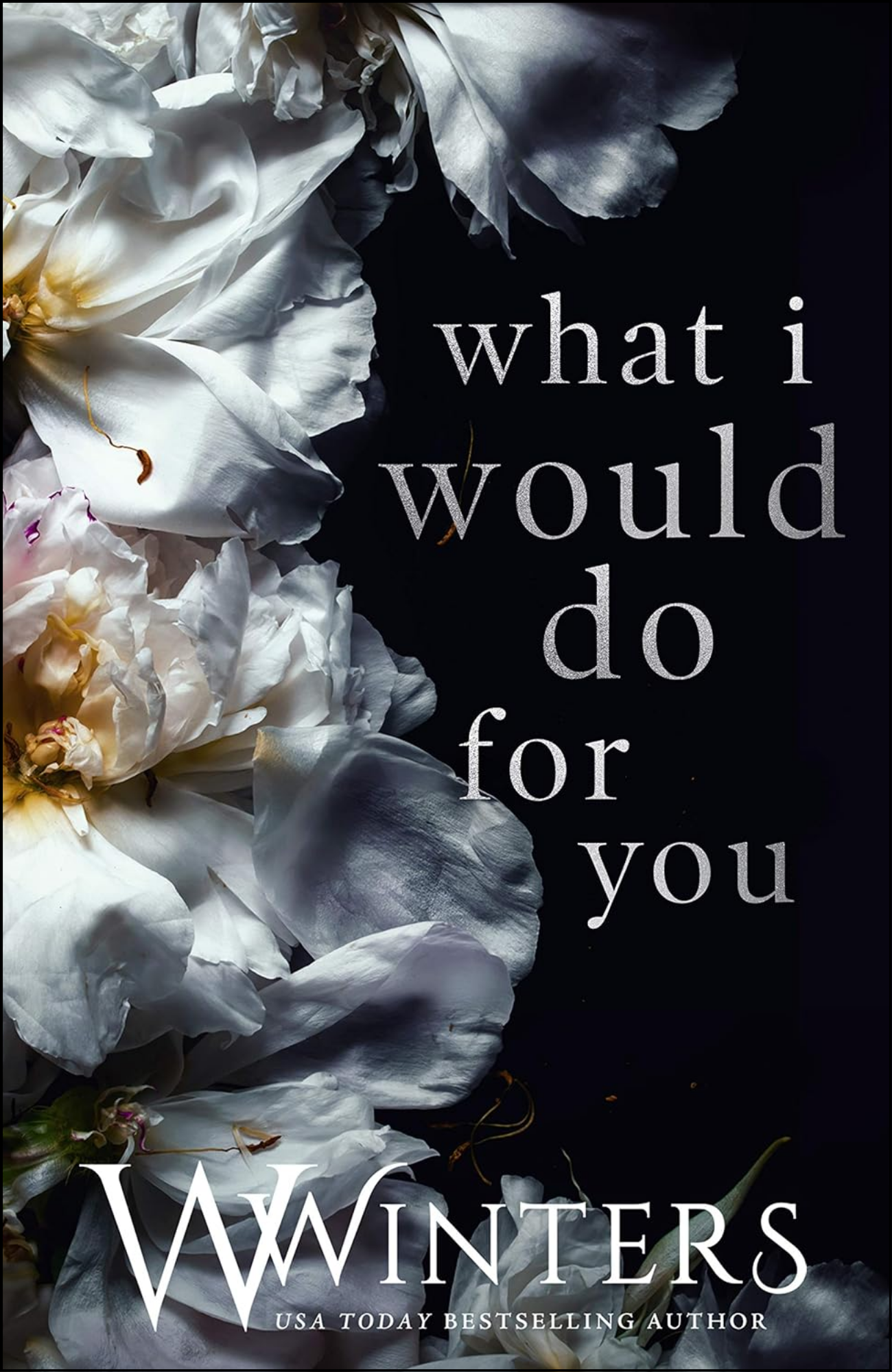 What I Would Do For You by W. Winters (Author)
