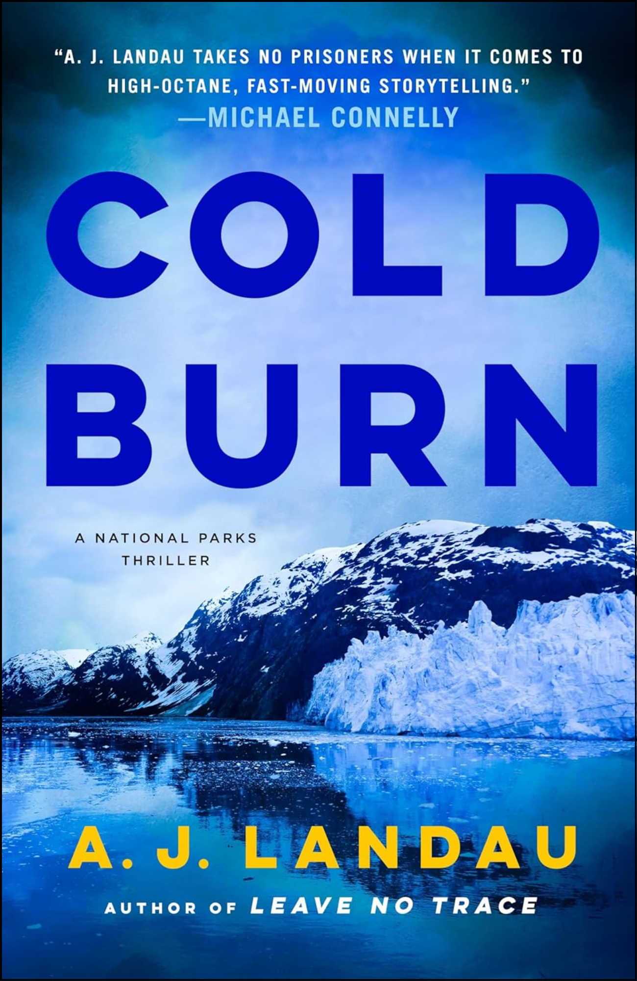 Cold Burn by A. J Landau (Author)