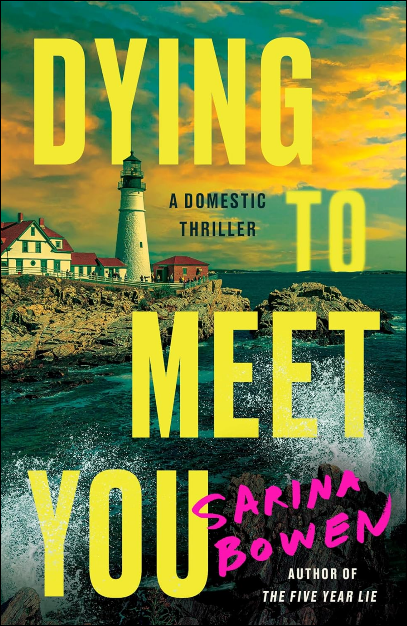 Dying to Meet You by Sarina Bowen (Author)