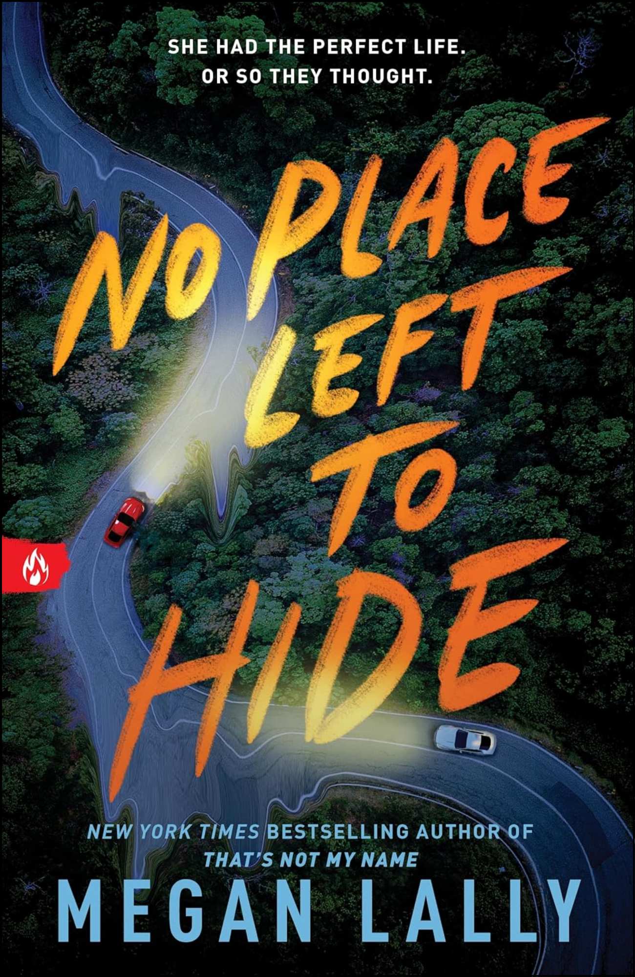 No Place Left to Hide by Megan Lally (Author)