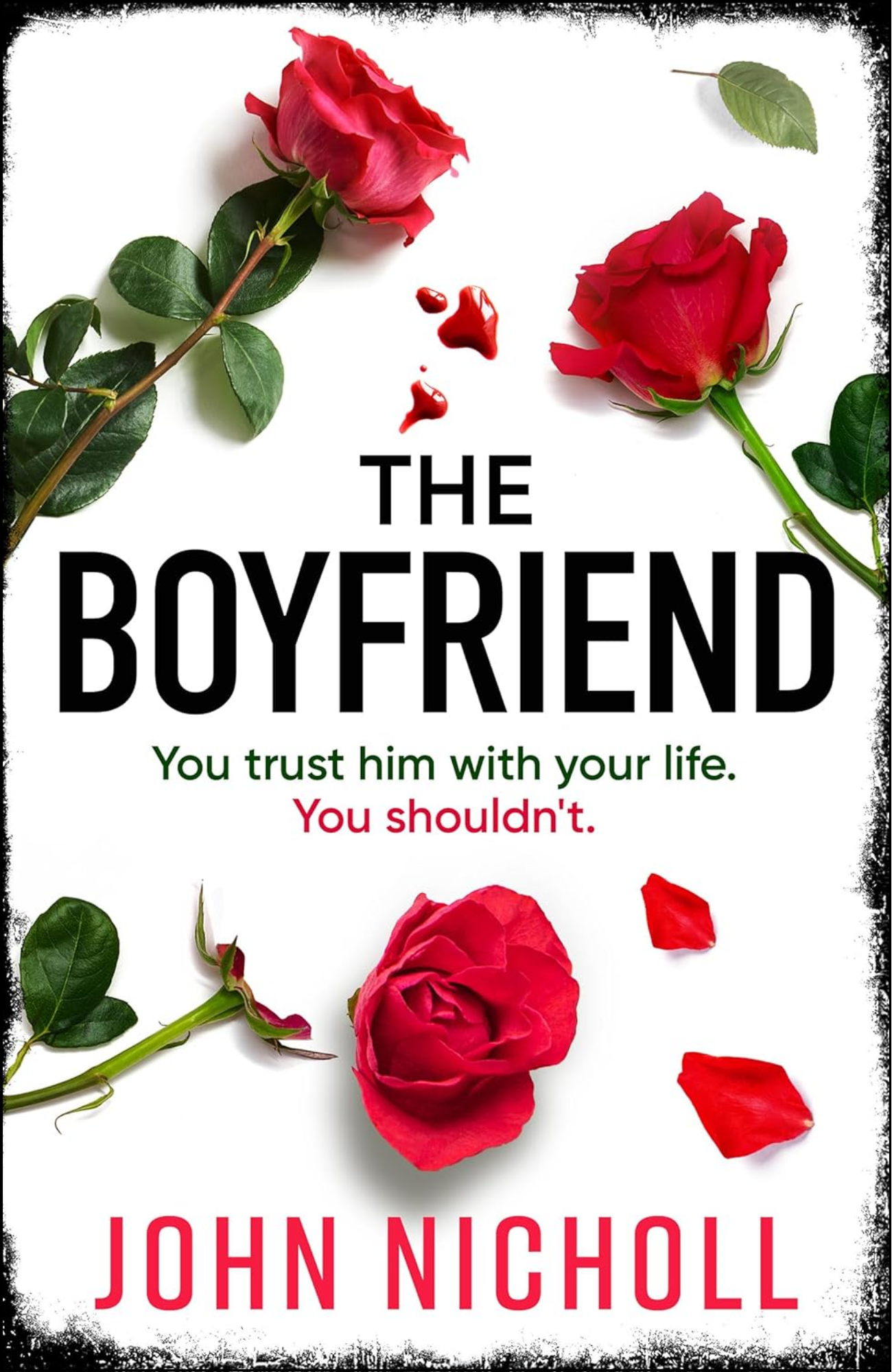 The Boyfriend by John Nicholl (Author)