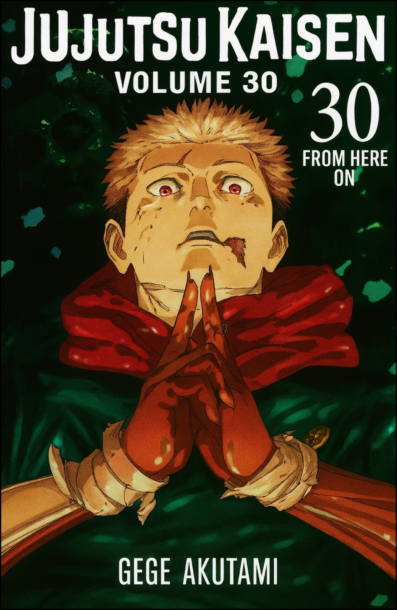 Jujutsu Kaisen, Vol. 30 by Gege Akutami (Author) | Full Page Print Editon