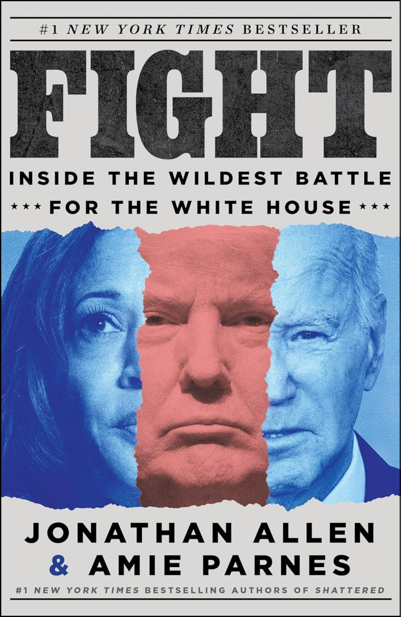 Fight by Jonathan Allen (Author)