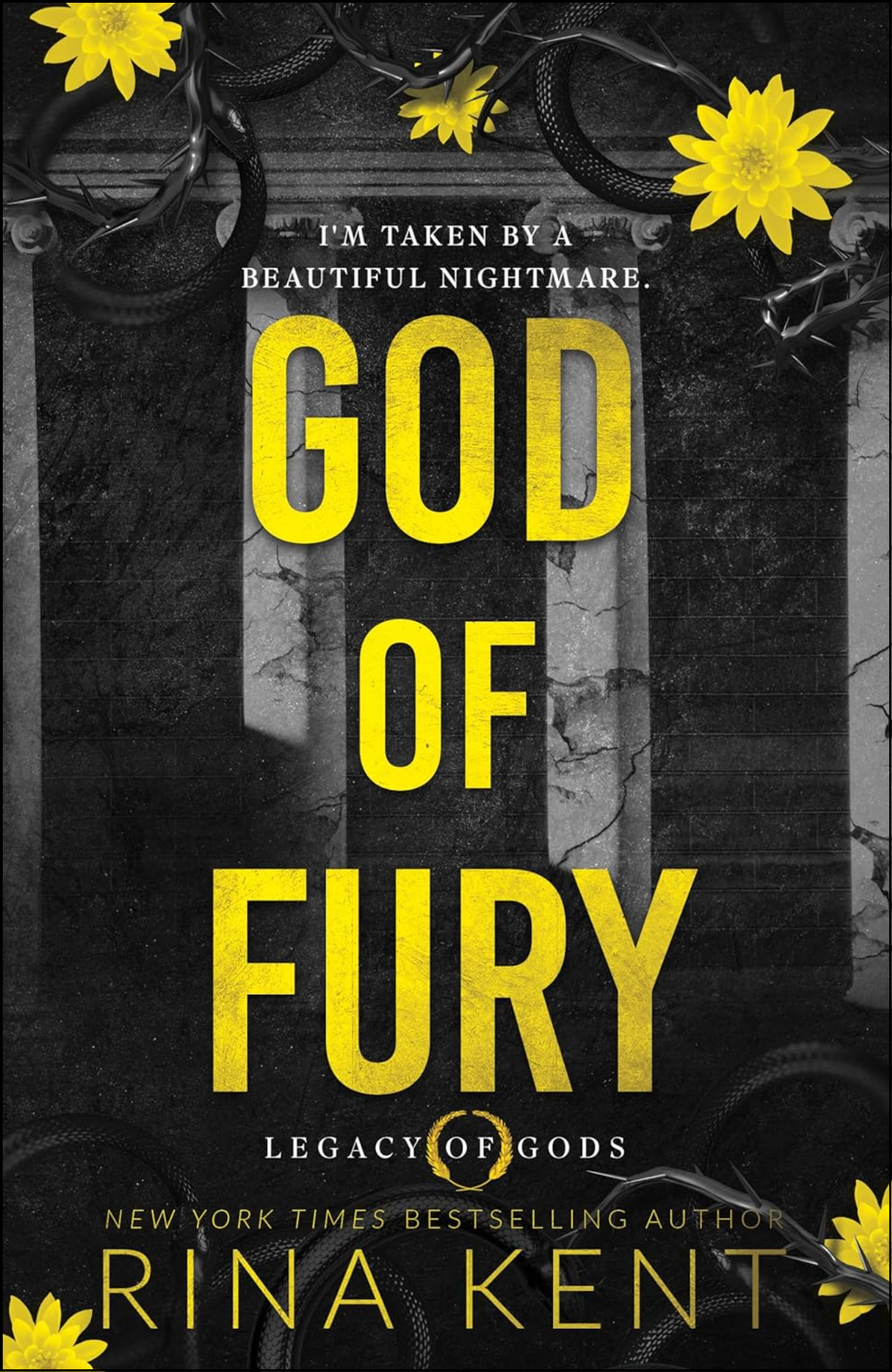 God of Fury by Rina Kent (Author)
