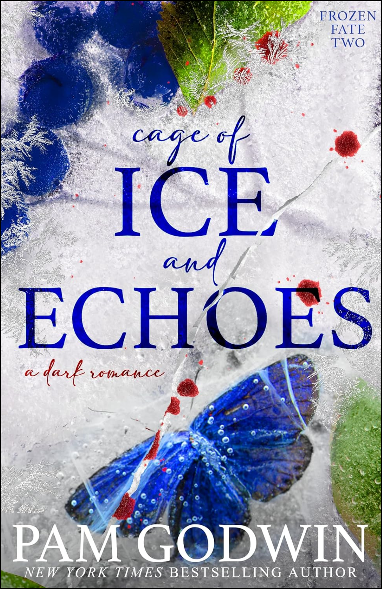 Cage of Ice and Echoes by Pam Godwin (Author)