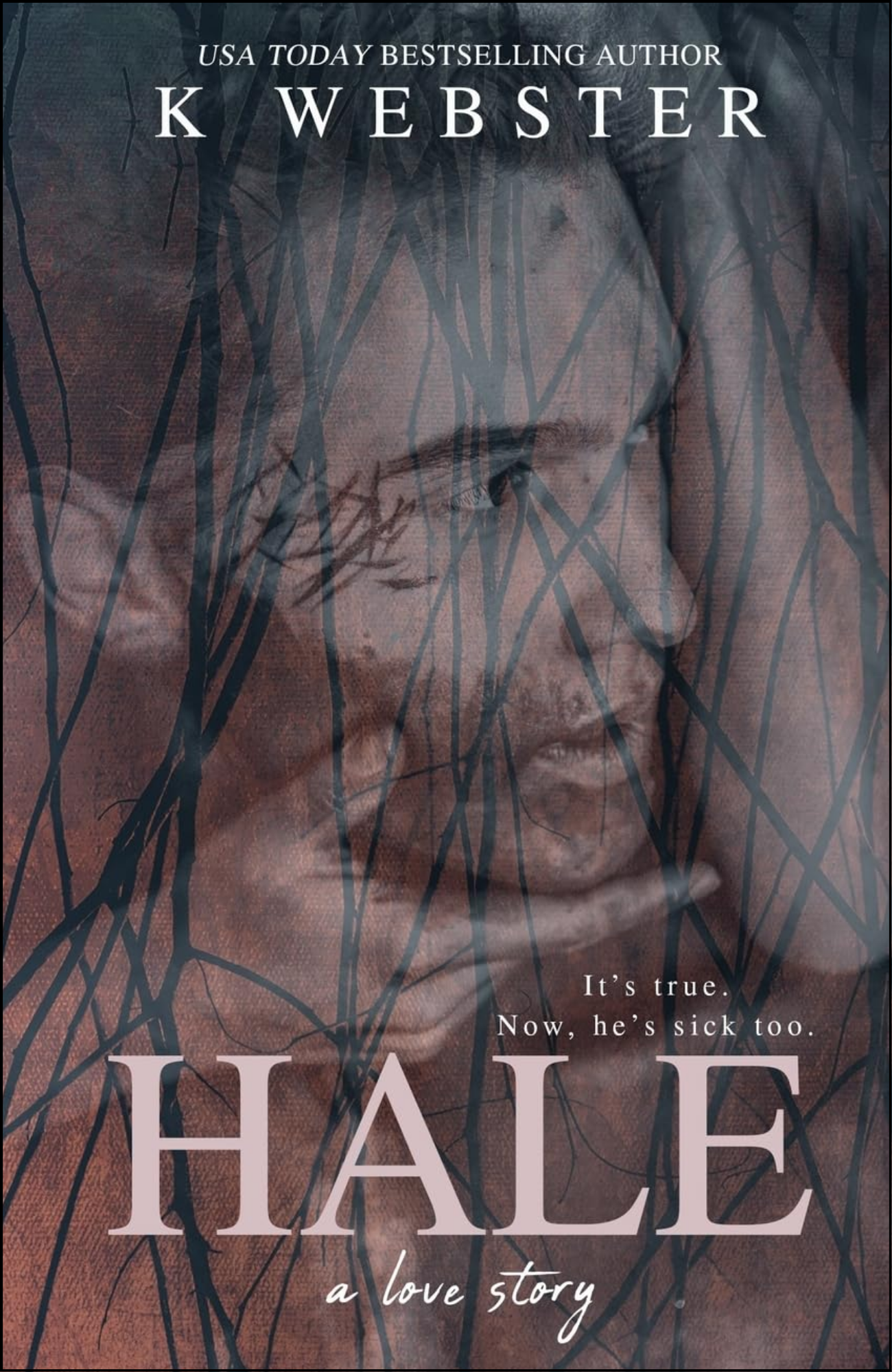 Hale by K Webster (Author)