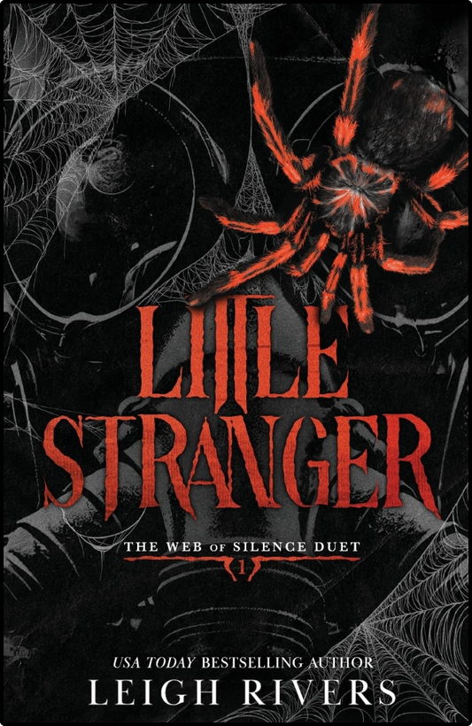  Little Stranger by Leigh Rivers book cover
